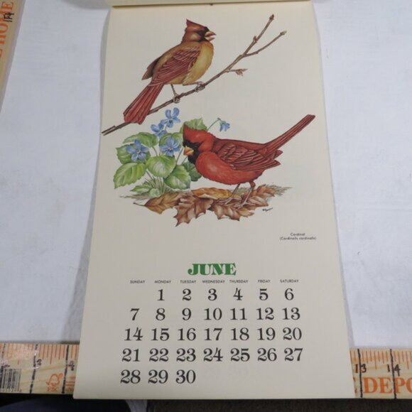 Bird Calendar W/ COLOR SHEET ON REVERSE SIDE Vintage 1981 Collectable LIKE NEW - Picture 10 of 17